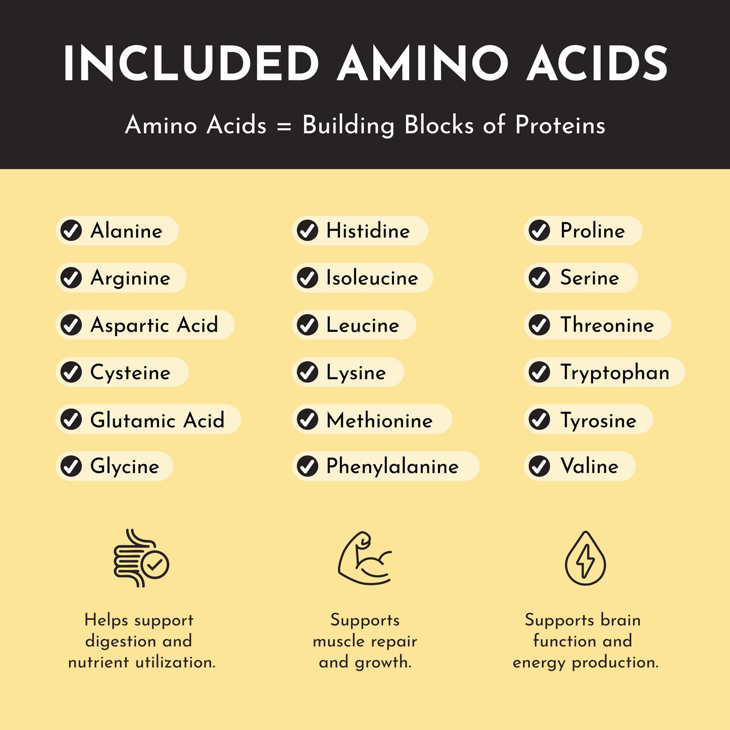 Seasonal Tropical Paradise Protein Powder