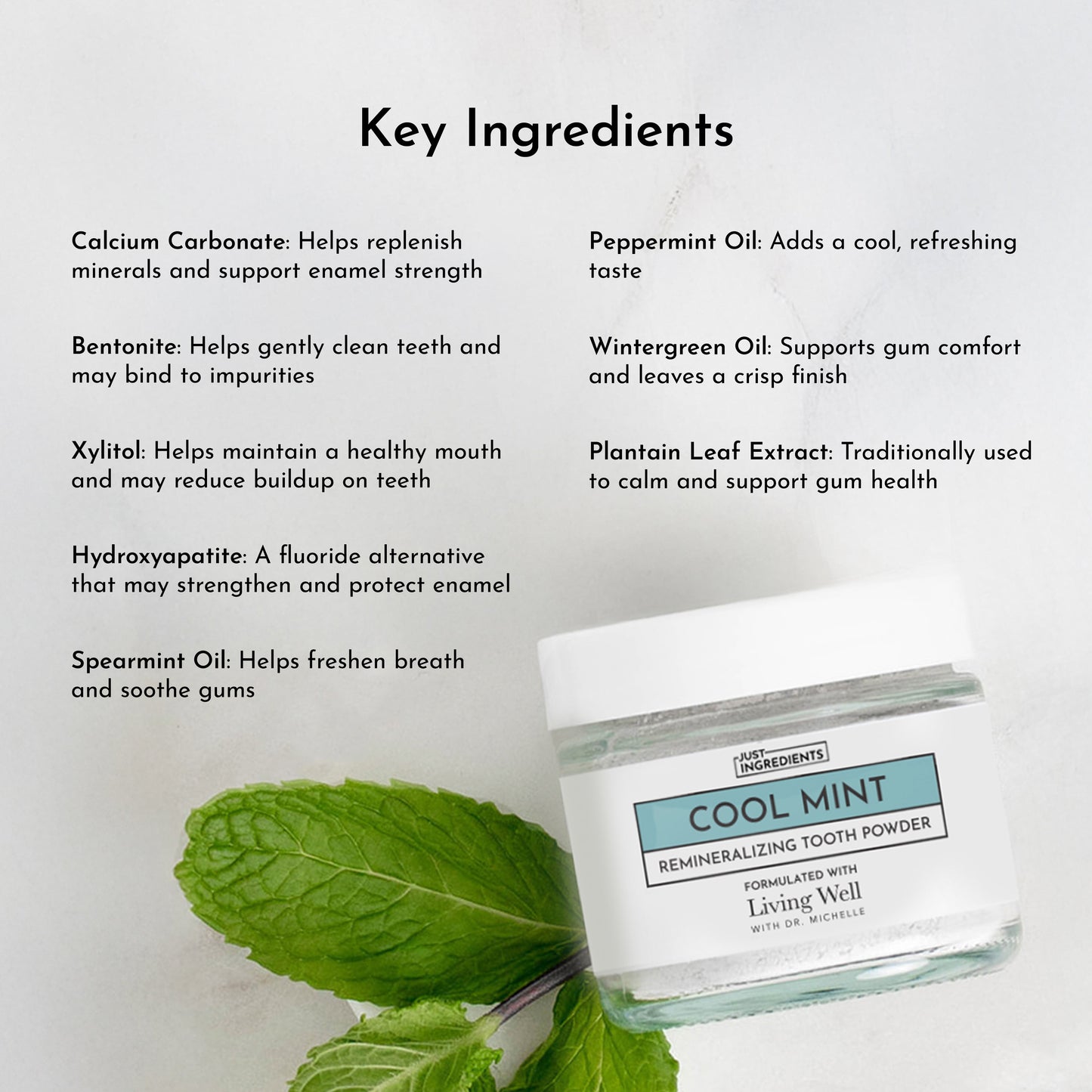 Remineralizing Tooth Powder (Mint)