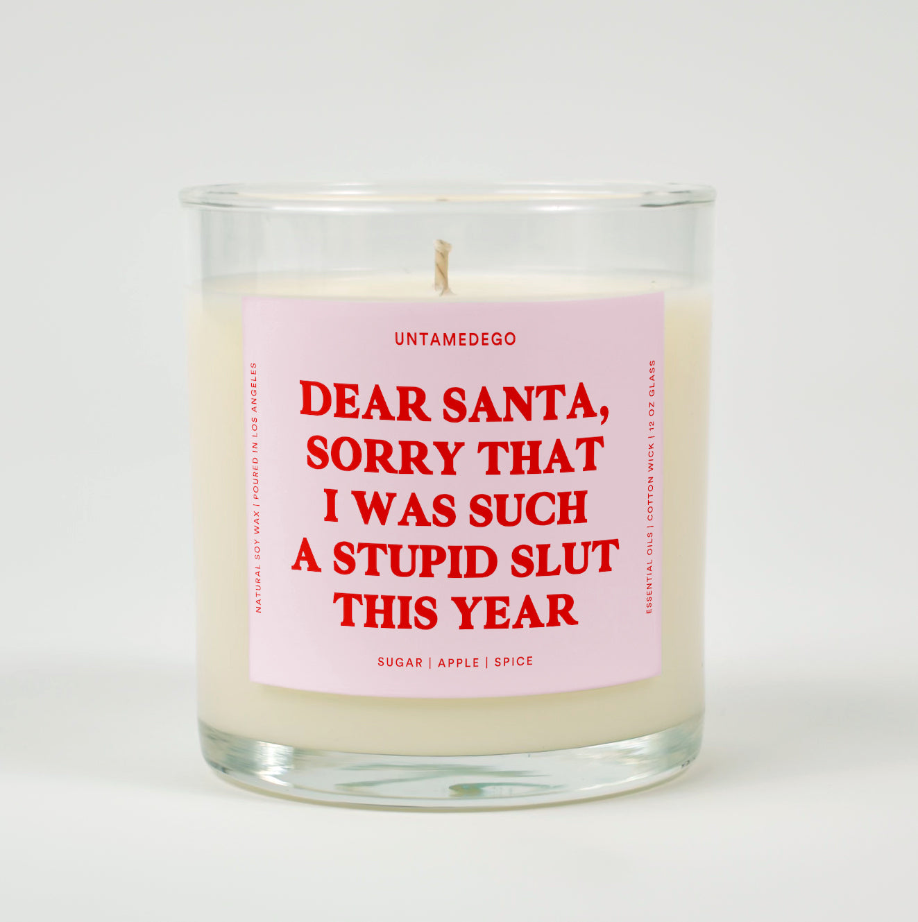 Dear Santa Sorry that I Was Such A Stupid Slut This Year Christmas Glass Candle