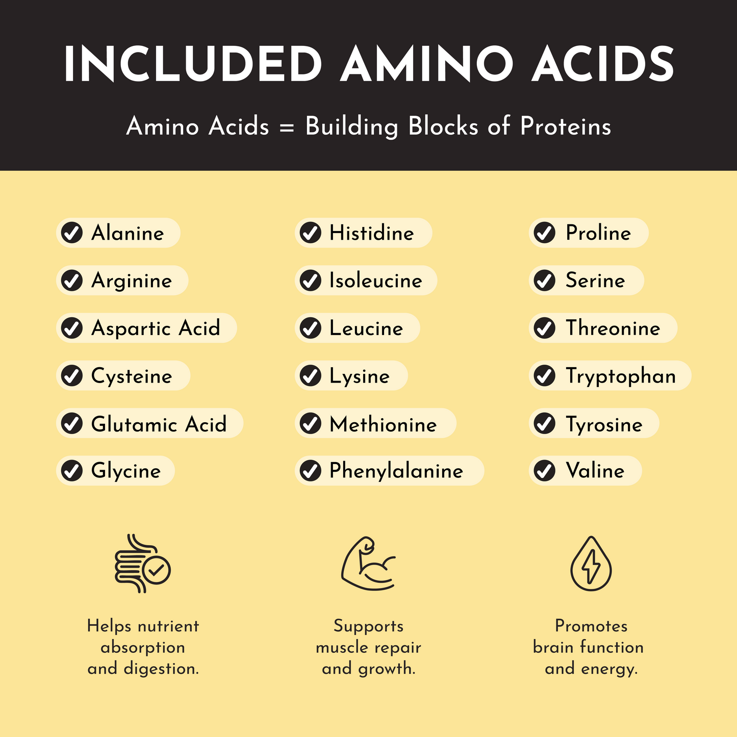 Seasonal Tropical Paradise Protein Powder