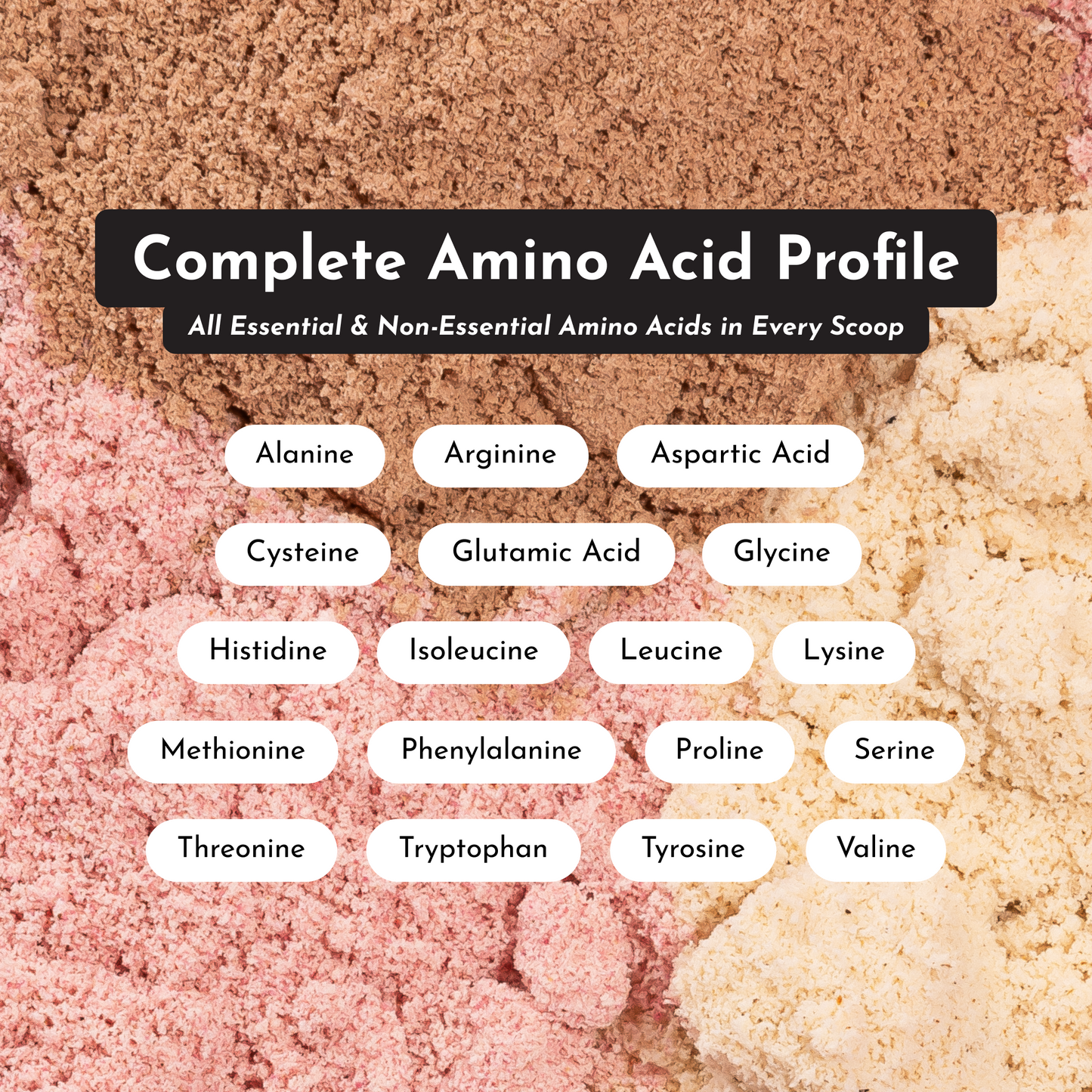 Chocolate Protein Powder