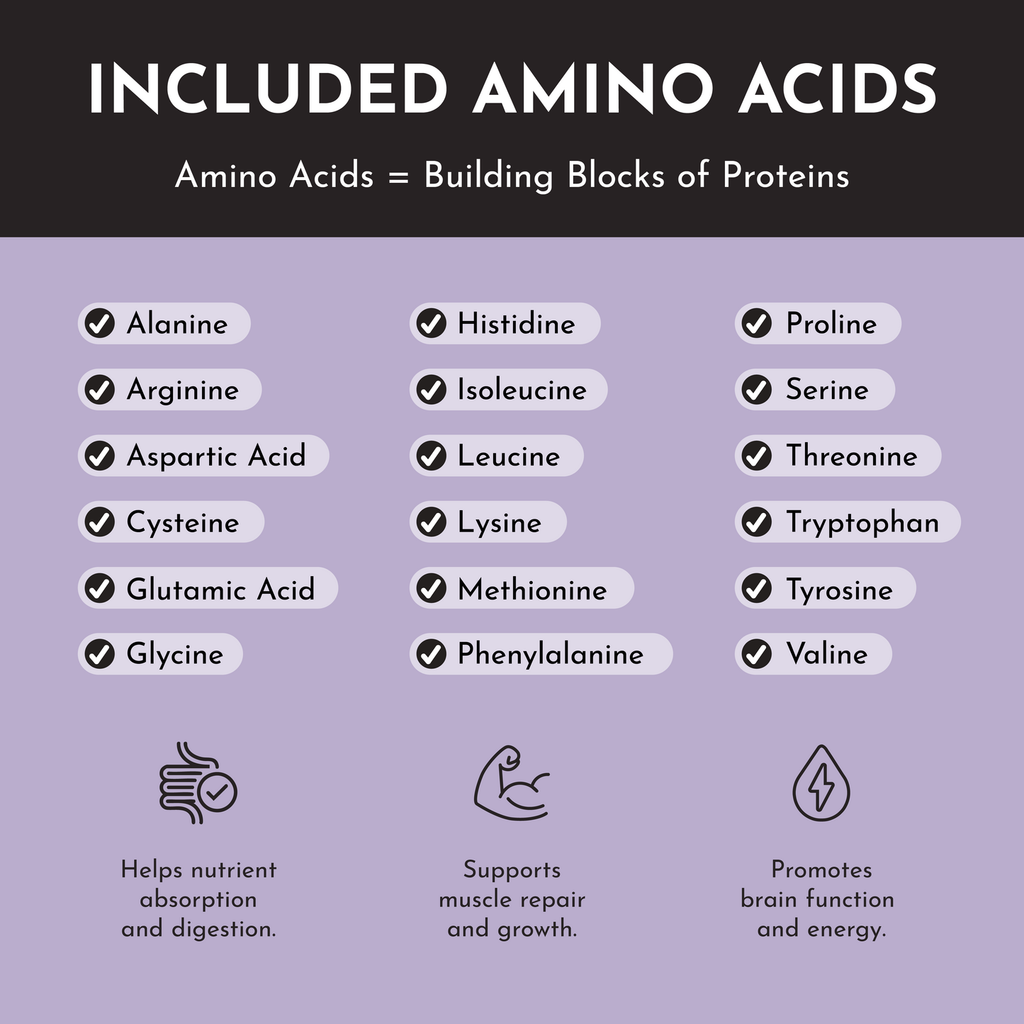 Mountain Berry Protein Powder Stick