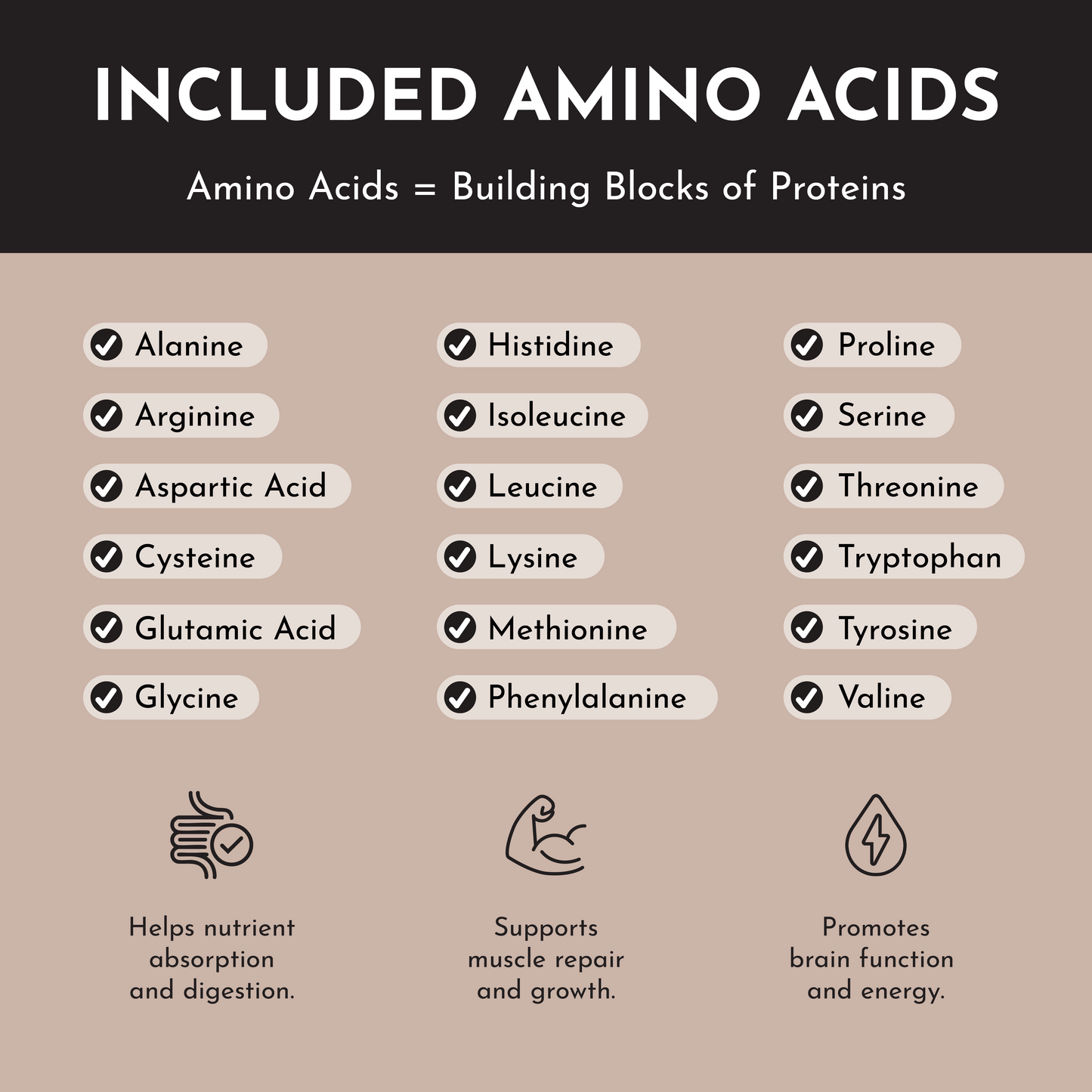 Chocolate Protein Powder Stick