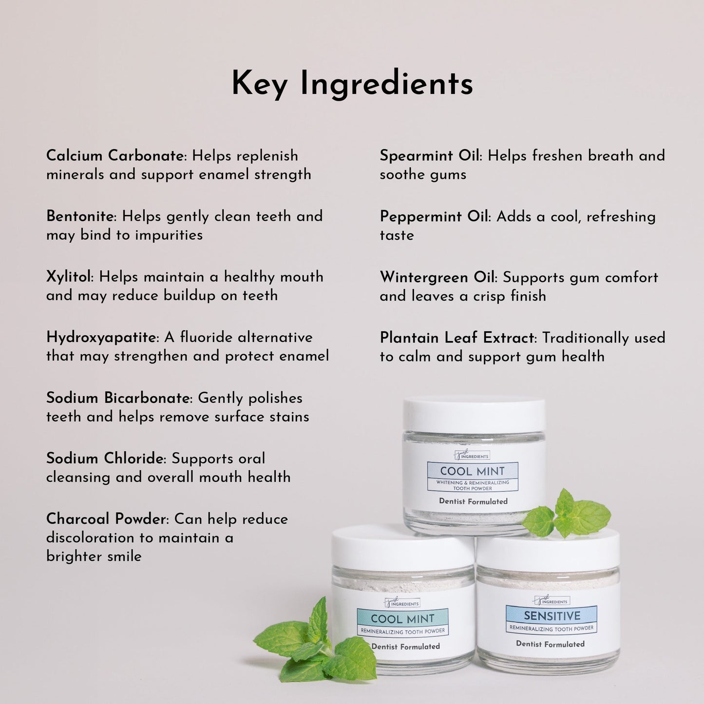 Whitening Remineralizing Tooth Powder (Mint)