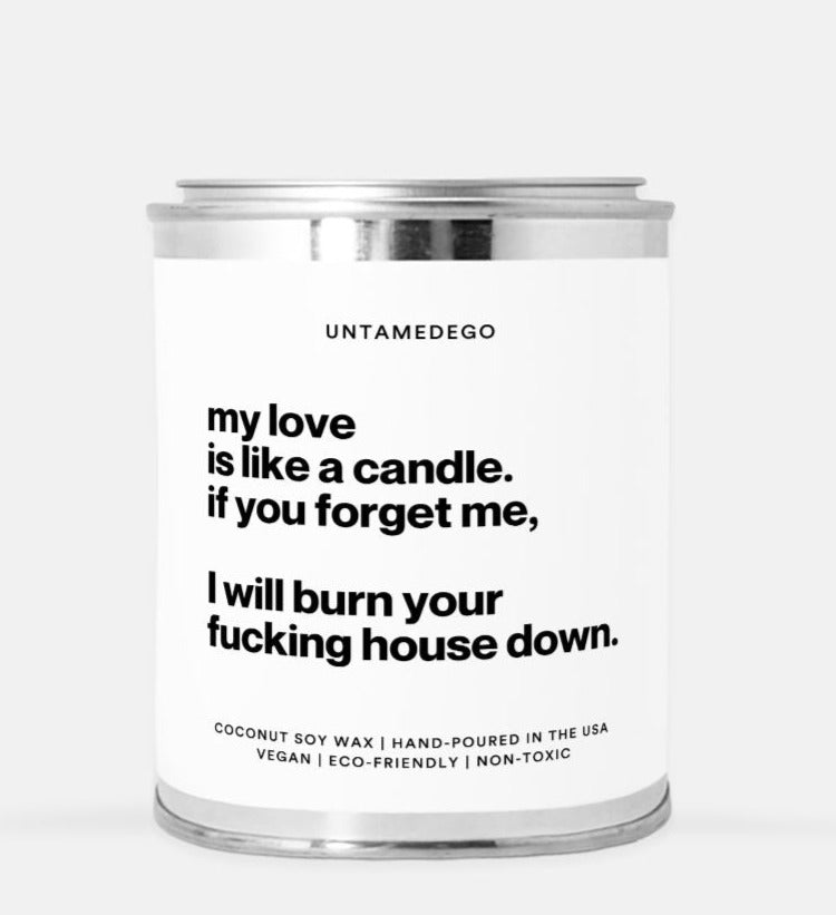 My Love Is Like A Candle If You Forget Me I Will Burn Your Fucking House Down 16oz Paint Can Candle